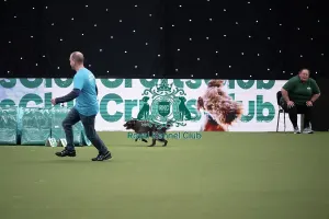 Main Arena Prints: Rescue Dog Agility