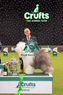 RESERVE BEST IN SHOW