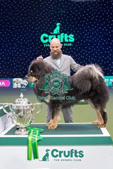 Reserve Best in Show