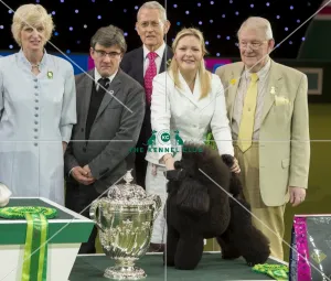 Reserve Best in Show Winner Reserve Best in Show Winner