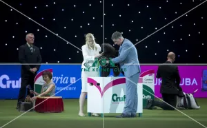 Reserve Best in Show Winner