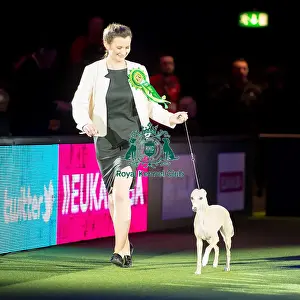 Reserve BIS winner