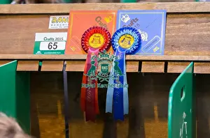2015 Prints: Ribbon winner