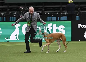 Greyhound Prints: Robert Newsham, from Rochdale, with Elena