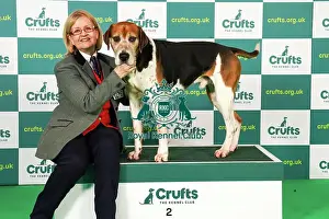Foxhound Prints: Rosemary Griffiths from Cheshire with Corister