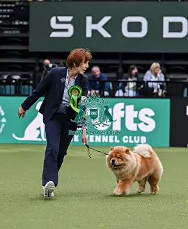 Chow Chow Prints: Rosemary Kurz from Germany with Ivy