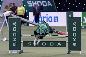 Border Collie Prints: Runner Up of the International Invitational Large Agility Final Christian Prinz from Germany with Coon Eager to Work