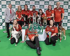 Second Place Prints: Runners Up of the Flyball Tournament 2025 Cambridgeshire today (Sunday 09)