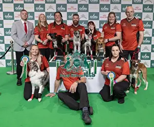 Second Place Prints: Runners Up of the Flyball Tournament 2025 Cambridgeshire today (Sunday 09)
