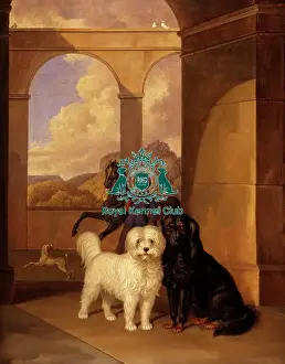 Royal Kennel Club Art Collection Prints: running, two, Artwork, oil, painting, two dogs, horse, historical