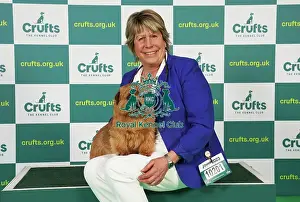 Norfolk Terrier Prints: Ruth Gee from Worksop with Boozy