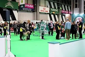 Friday 7th March Prints: The Safe And Sound Scheme In The Good Citizen Ring