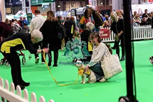 Friday 7th March Prints: The Safe And Sound Scheme In The Good Citizen Ring