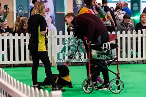 Friday 7th March Prints: The Safe And Sound Scheme In The Good Citizen Ring