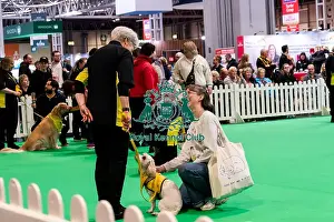 Friday 7th March Prints: The Safe And Sound Scheme In The Good Citizen Ring