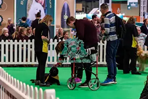 Dogs Prints: The Safe And Sound Scheme In The Good Citizen Ring