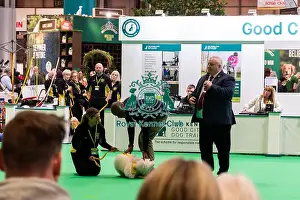 Dogs Prints: The Safe And Sound Scheme In The Good Citizen Ring
