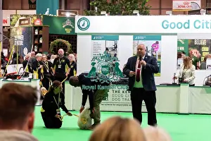 Dogs Prints: The Safe And Sound Scheme In The Good Citizen Ring