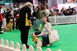 Dogs Prints: The Safe And Sound Scheme In The Good Citizen Ring