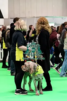 Dogs Prints: The Safe And Sound Scheme In The Good Citizen Ring
