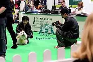 Dogs Prints: The Safe And Sound Scheme In The Good Citizen Ring