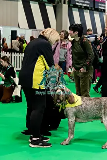 Dogs Prints: The Safe And Sound Scheme In The Good Citizen Ring