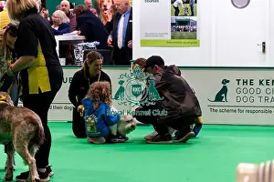 Dogs Prints: The Safe And Sound Scheme In The Good Citizen Ring