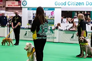 Dogs Prints: The Safe And Sound Scheme In The Good Citizen Ring