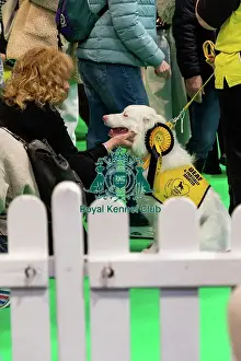 Dogs Prints: The Safe And Sound Scheme In The Good Citizen Ring
