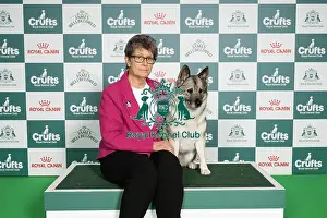 Norwegian Elkhound Prints: Sally Simmonds from Powys with Klemmie