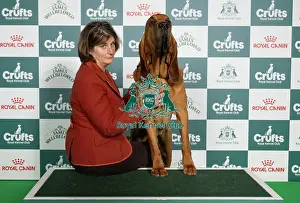 Bloodhound Prints: Sam Clark from Devon with Keeper