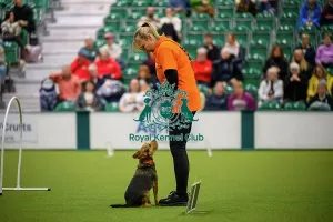 Crufts 2026 Rally Prints: Samantha Bentley from the Nothern team