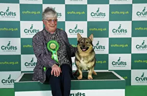 Official photos from Crufts 2023: Sandra Drinkwater from Preston with Norton, a Swedish Lapphund