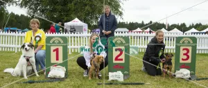 Scruffts 2023 regional round DogFest Tatton Park, Manchester Scruffts 2023 regional round DogFest Tatton Park, Manchester