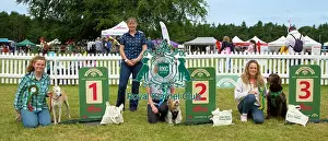 Scruffts 2023 regional round DogFest Tatton Park, Manchester