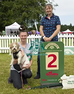 Scruffts 2023 regional round DogFest Tatton Park, Manchester