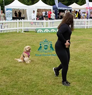 Scruffts 2022 Prints: Scruffts 2023 regional round DogFest Tatton Park, Manchester