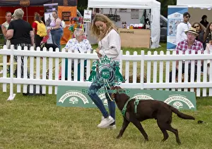 Scruffts 2022 Prints: Scruffts 2023 regional round DogFest Tatton Park, Manchester