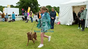 Scruffts 2022 Prints: Scruffts 2023 regional round DogFest Tatton Park, Manchester