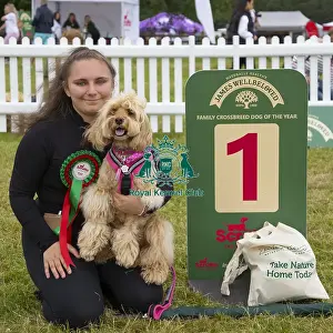 Scruffts 2022 Prints: Scruffts 2023 regional round DogFest Tatton Park, Manchester