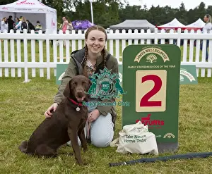 Scruffts 2022 Prints: Scruffts 2023 regional round DogFest Tatton Park, Manchester