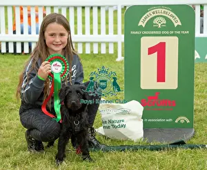 Scruffts 2023 regional round DogFest Tatton Park, Manchester