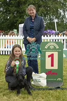 Scruffts 2023 regional round DogFest Tatton Park, Manchester