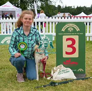 Scruffts 2023 regional round DogFest Tatton Park, Manchester