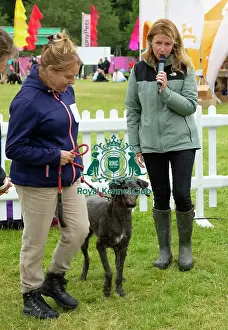 Scruffts 2022 Prints: Scruffts 2023 regional round DogFest Tatton Park, Manchester