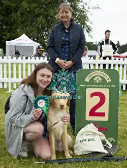 Scruffts 2022 Prints: Scruffts 2023 regional round DogFest Tatton Park, Manchester
