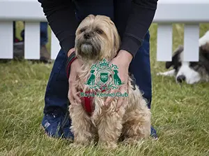 Scruffts 2022 Prints: Scruffts 2023 regional round DogFest Tatton Park, Manchester