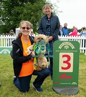 Scruffts 2023 regional round DogFest Tatton Park, Manchester