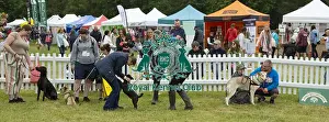 Scruffts 2022 Prints: Scruffts 2023 regional round DogFest Tatton Park, Manchester