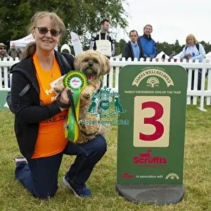 Scruffts 2023 regional round DogFest Tatton Park, Manchester
